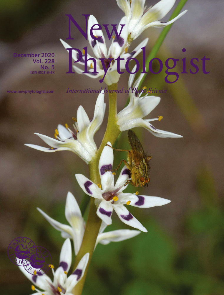 Cover_New_Phytologist