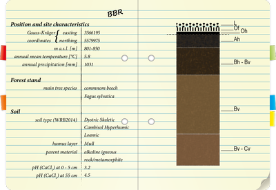 Notebook BBR