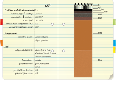 notebook LUE