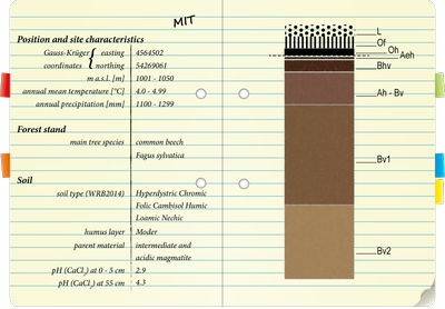 notebook MIT