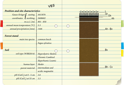 notebook VES