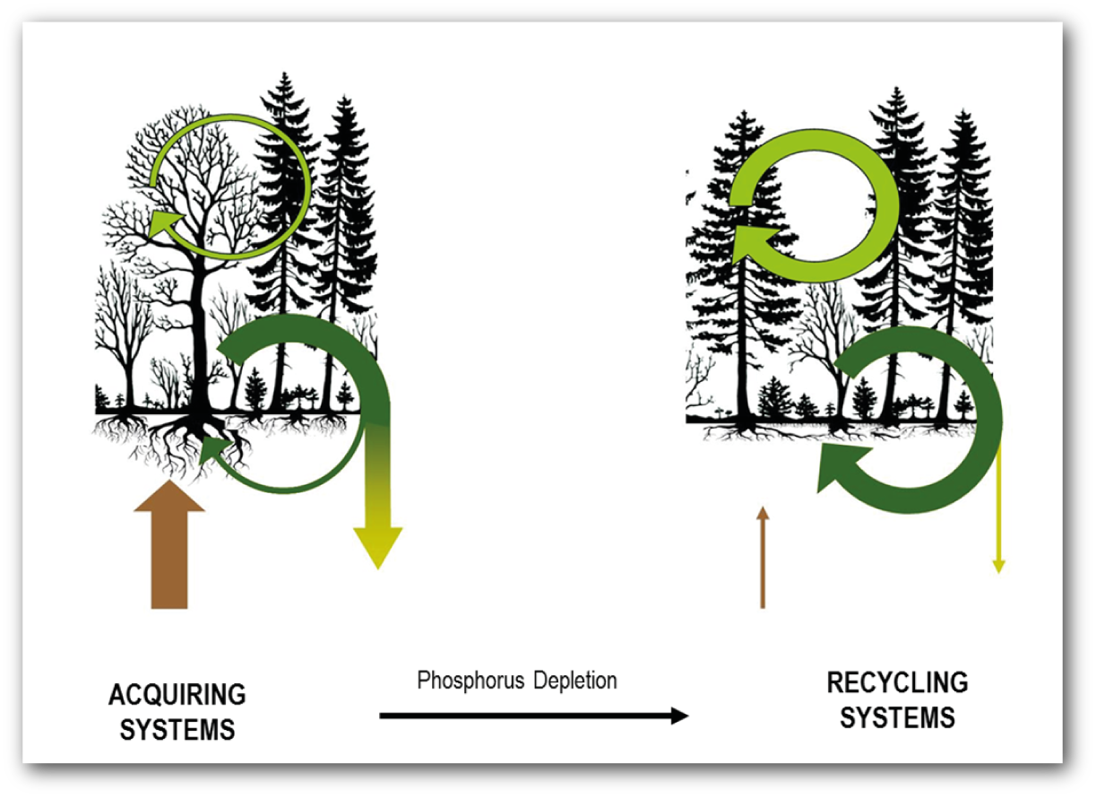 hypothesis