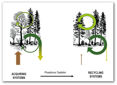 hypothesis