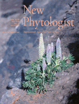 Cover_New_Phytologist_2018