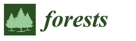 forests-logo.png