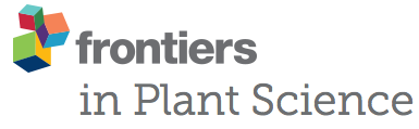 Frontiers inplantscience