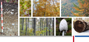 Homeüage_Header_Herbst