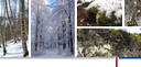 Header Winter