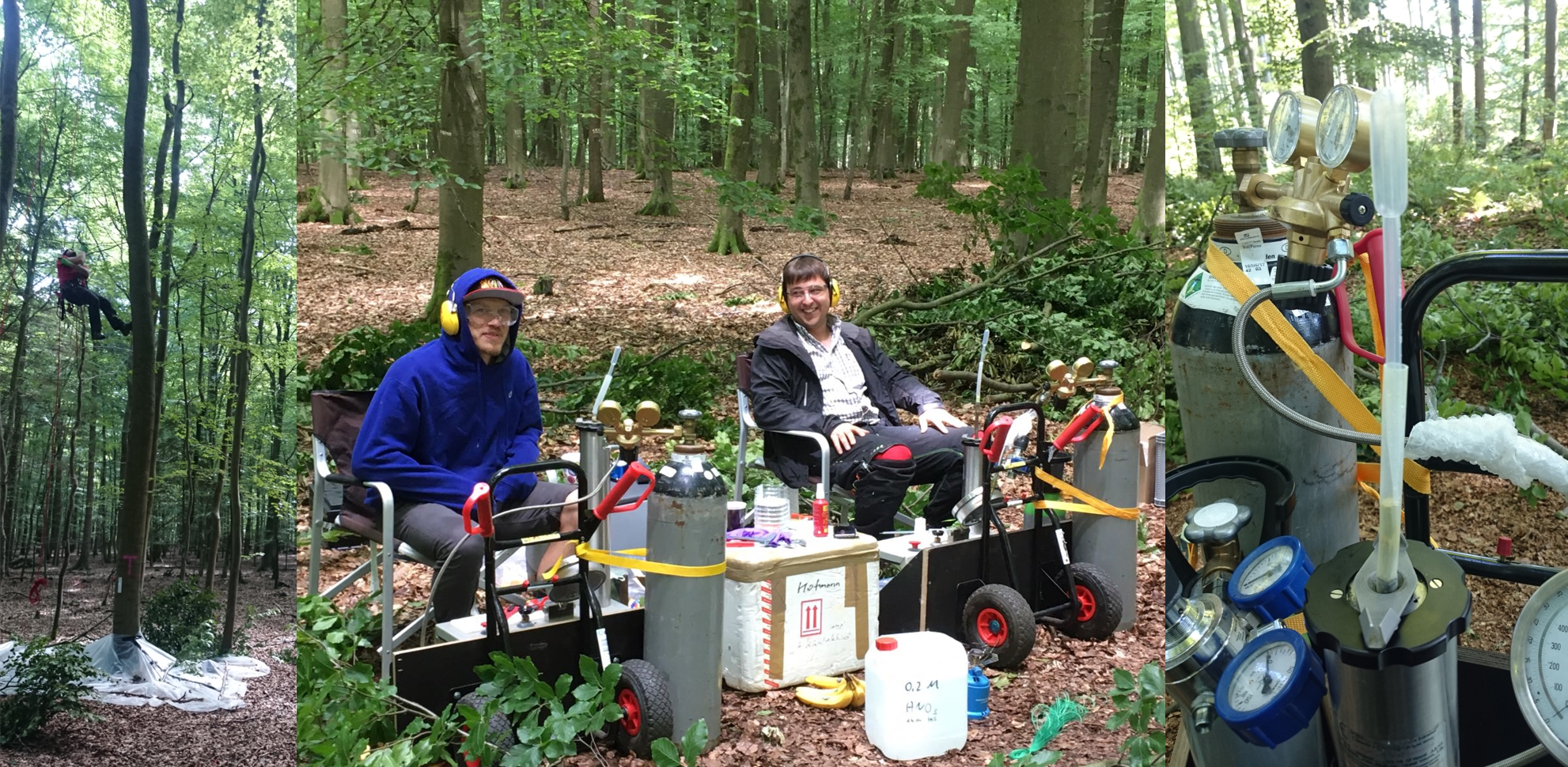 Projekt Oelmann 2
