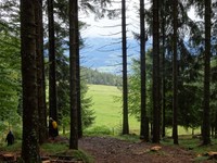 Schwarzwald_1