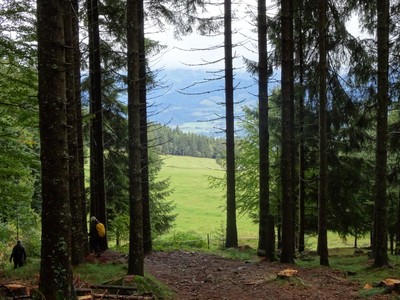 Schwarzwald_1