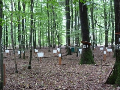 Untersuchungsstandort