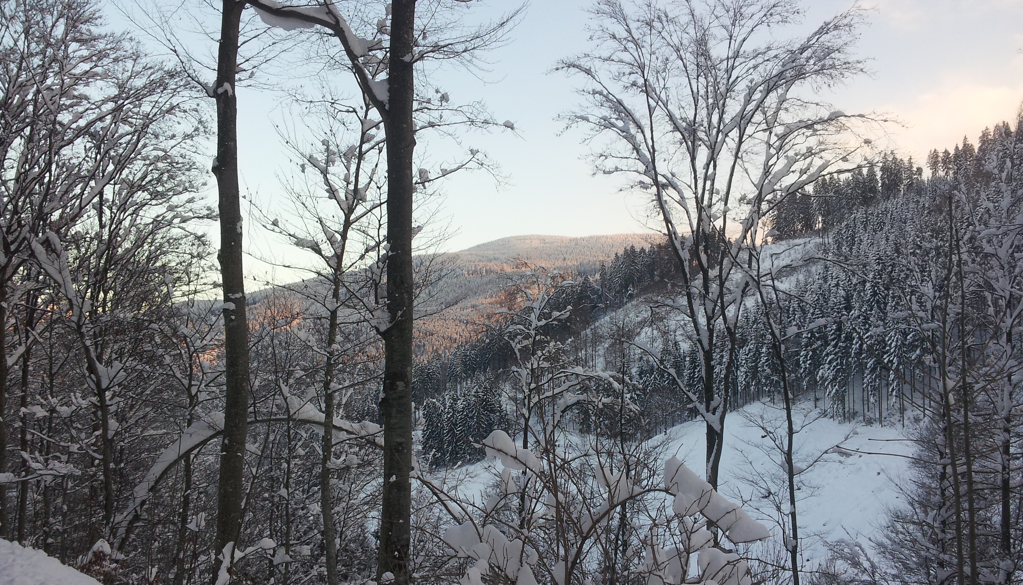 Winter-Schwarzwald.jpg