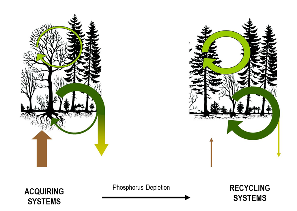 Graphical Abstract