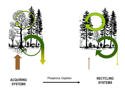 Graphical Abstract