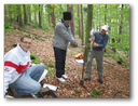 Project Polle 1