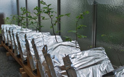 Projekt Spohn 1