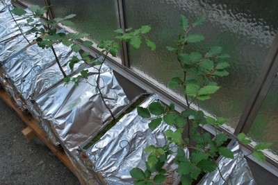 Projekt Spohn 2