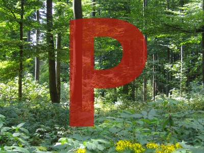 vi_Advances_in_Phosphorus.jpg